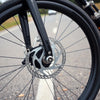 Bicycle wheel and fork showing dual disc brake rotors and brake calipers for strong stopping control