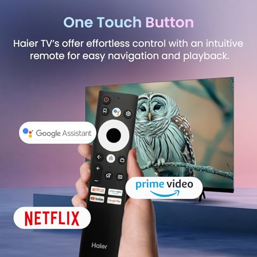 Haier 80cm (32) HD Ready Smart LED Google TV LE32W400G -N (Black)