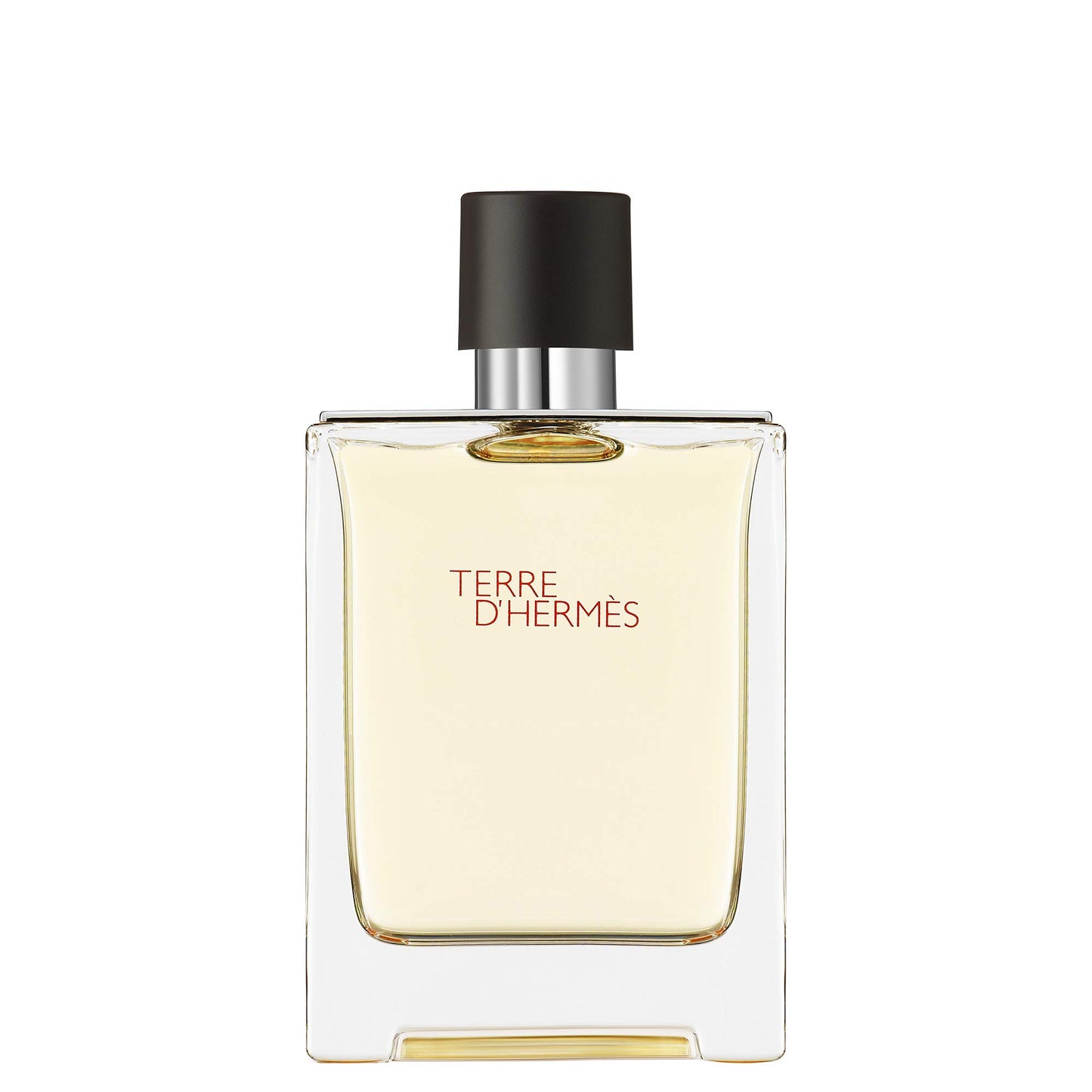 Hermès Terre d'Hermès Eau de Toilette 100ml