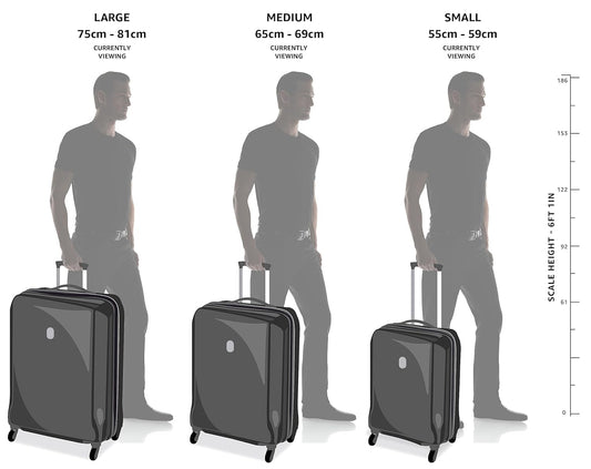 Safari Polyproplyene Hard Shell Cairo 8 Wheels, 5 Years Warranty (Cabin & Check-in) Trolley Spinner Luggage Set of 3, 55Cm, 66Cm & 75Cm, Small, Medium, Large (SAGE Green)