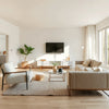 Bright living room with sleek modern sofa, minimalist coffee table, and contemporary armchair.