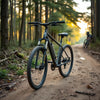 Entry-level mountain bike with front suspension and disc brakes on a dirt trail near trees