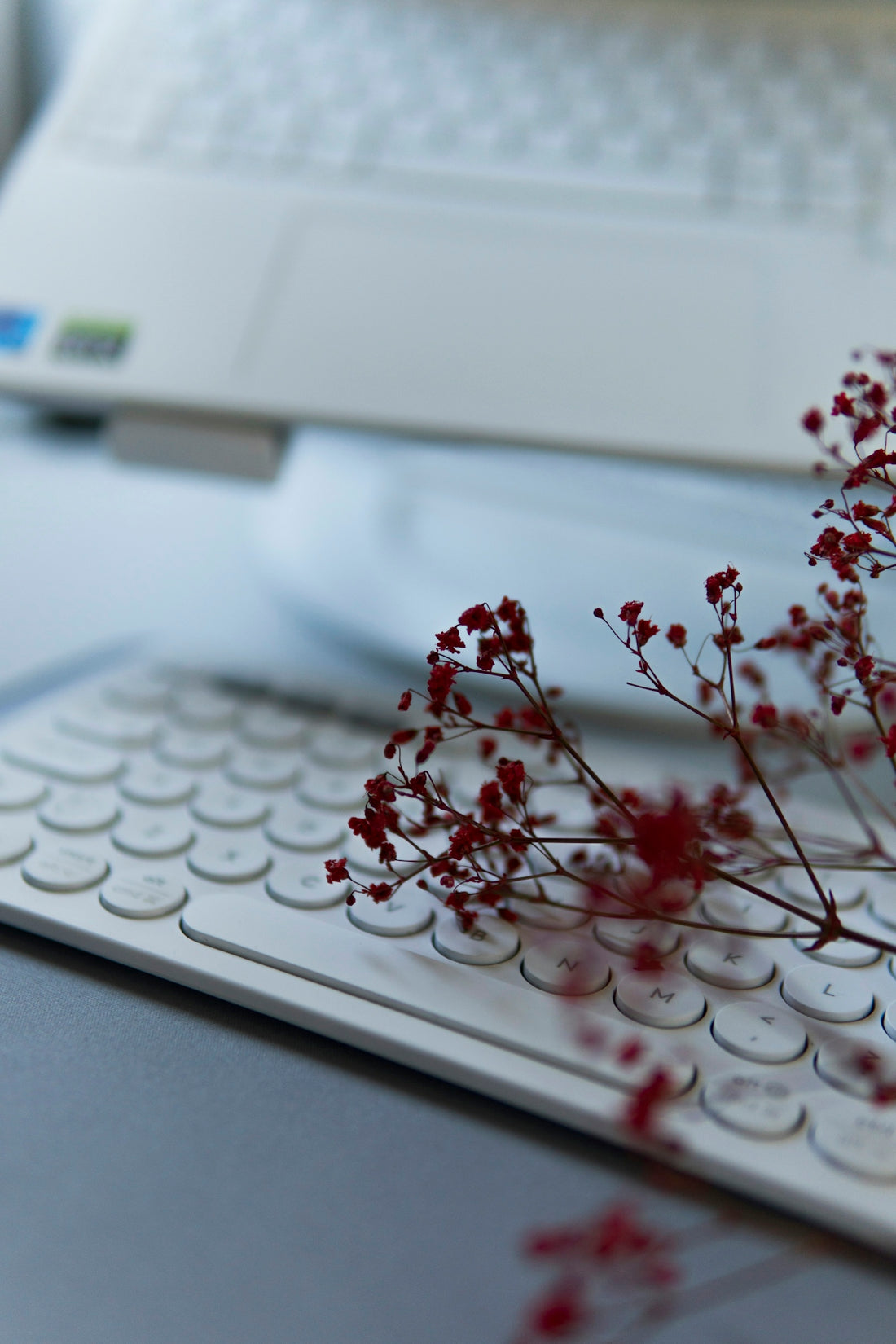 a close up of a flower on a keyboard