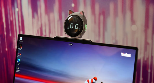 Cat-shaped timer on top of a computer monitor.