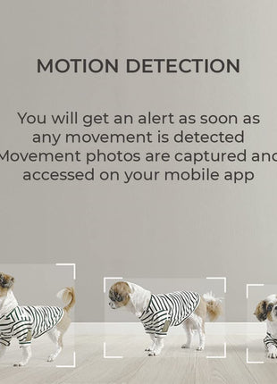 10+ TENPL 3MP, New Launch 2023, QHD Camera, 360° Coverage, Smart Mobile App, View & Talk, Night Vision, Motion Alert, SD Card (Upto 256 GB), Smart Home Security Camera. 