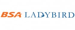 BSA Ladybird Ladies Cycle in 26T Wheel Size with Integrated Carrier for Age Group 12+ Years 