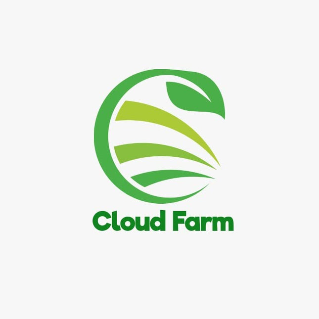 Cloud Farm GREEN GRAPE PLANT (PACK OF 1) GRAFTED - Fruit Tree - Live Outdoor Garden Plant,CF_T108 