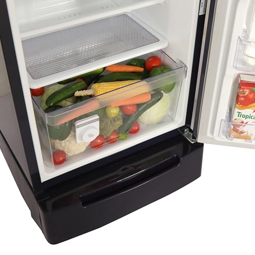 Whirlpool 207 L 5 Star Icemagic Pro Inverter Direct-Cool Single Door Refrigerator (230 IMPRO ROY 5S INV SAPPHIRE ABYSS-Z1, Blue, 2024 Model) 