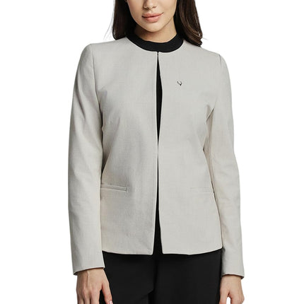 Allen Solly Women's Regular Blazer (AHBZCRGF129185_Grey 
