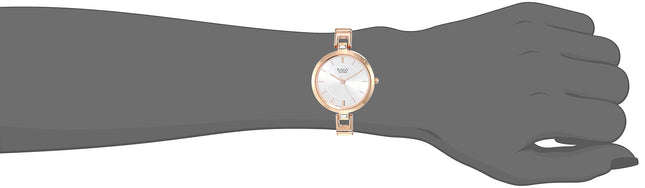 Titan Raga Quartz Analog Silver Dial Metal Strap Watch for Women-NR2603WM01 