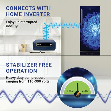 Haier 190 L, 5 Star, Direct-Cool Single Door Refrigerator (HED-205MDB-P, Marine Dahelia, Base Stand Drawer, 2024 Model) 