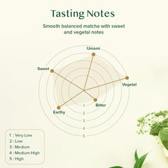 Collection image for: Vacuum cleaner