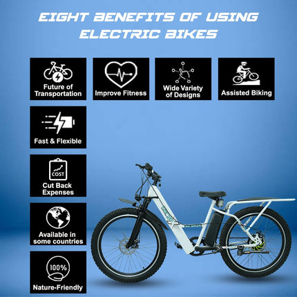 SS Bikes CargoX Heavy Duty Electric Cycle | 110+ km Range | Front Suspension | Dual Disc Brakes | LED Display & Headlight | 36V Dual Li-ion Battery (In-Built 10Ah + 12.5Ah External) | 2 Years Warranty 