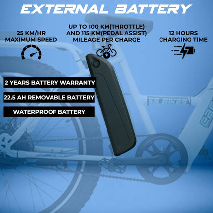 SS Bikes CargoX Heavy Duty Electric Cycle | 110+ km Range | Front Suspension | Dual Disc Brakes | LED Display & Headlight | 36V Dual Li-ion Battery (In-Built 10Ah + 12.5Ah External) | 2 Years Warranty 
