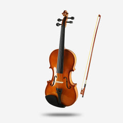 INTERN INT-PVK-01 4/4 Acoustic Violin with Bow, Case & Rosin | Professional Wooden Violin for Beginners & Adults | Premium Music Instrument for Students, Practice & Stage Performance 