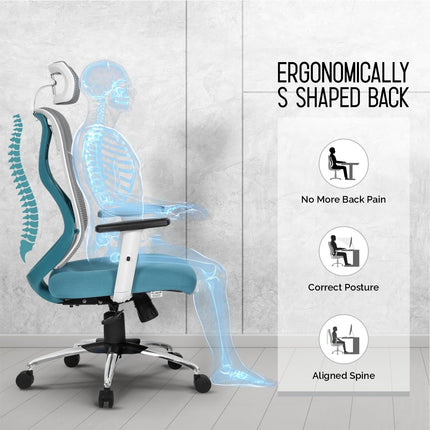 Da URBAN® Merlion Office Chair,High Back Mesh Ergonomic Home Office Desk Chair with 3 Years Warranty, Adjustable Armrests,Adjustable Lumbar Support,Tilt Lock Mechanism (Grey) 