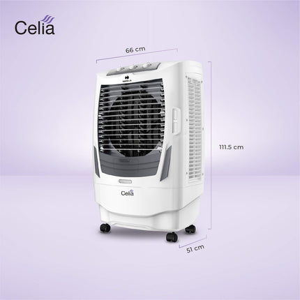 Havells Celia 55L Air Cooler for home | Ice Chamber | Collapsible Louvers | 4 Leaf Metal Blade | Powerful Air Delivery | Everlast Pump | 3 Side High Density Honeycomb Pads | Heavy Duty (White/Grey) 