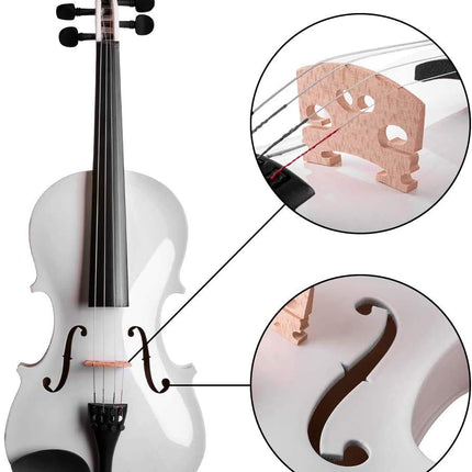 Kadence, Vivaldi 4/4 Violin With Bow, Rosin, Hard Case V001 (White) 
