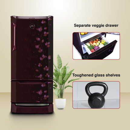 Godrej Edge 237 L 3 Star With Duo Flow Technology Reducing Cooling Loss by 50% Inverter Direct Cool Single Door Refrigerator (RD EDUO 270C TDI JD WN, Jade Wine) 
