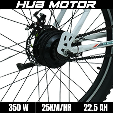 SS Bikes CargoX Heavy Duty Electric Cycle | 110+ km Range | Front Suspension | Dual Disc Brakes | LED Display & Headlight | 36V Dual Li-ion Battery (In-Built 10Ah + 12.5Ah External) | 2 Years Warranty 