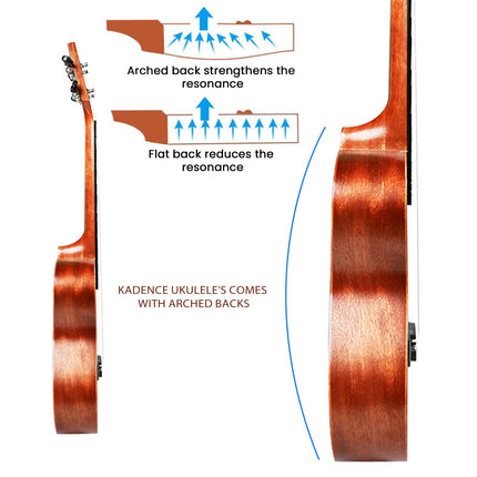 Kadence Concert Ukulele 23", Cinnamon Brown colour, fluorocarbon strings, matt finish with strap and bag (Spring Summer Collection of Ukuleles) 