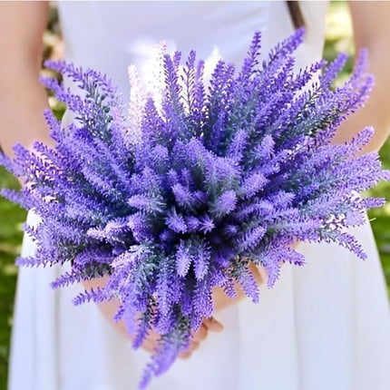 Live Wonderful All Season Purple Lavender Flower Tree Healthy Live Plant For Home Garden Outdoor Indoor plant in Black Pot 