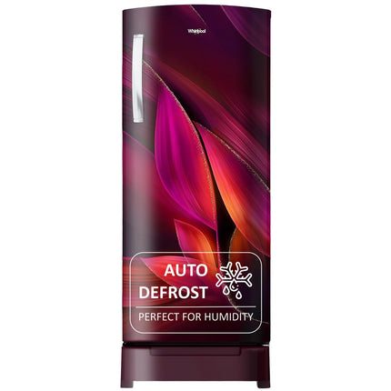 Whirlpool 236 L 4 Star Frost Free Inverter Direct-Cool Single Door Refrigerator (Auto-Defrost, Intellisense Inverter, 260 IMPRO PLUS ROY 4S WINE Breeze-Z, 2024 Model) 