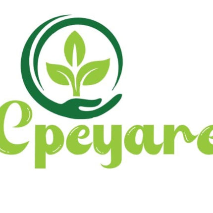 CPEYARE Japanese Red Guava Tree - Live Plant (1-2 ft) | Fruits in 2-3 Years | Delicious & Exotic Guava 