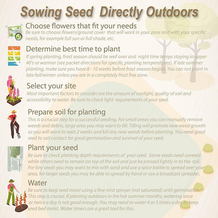 NooElec Seeds India 15 Seeds- Golden Shower Tree Seeds For Planting- Stunning Weeping Yellow Blooms 