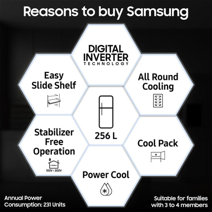 Samsung 256L 3 Star Digital Inverter Frost-Free Double Door Refrigerator Appliance (RT30C3433S9/HL,Refined Inox) 