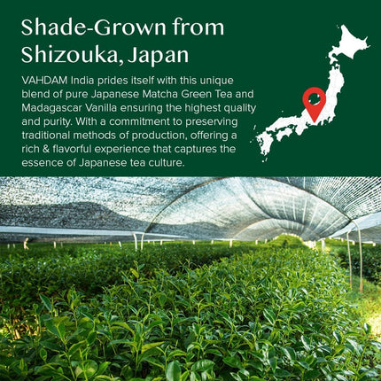 VAHDAM, Vanilla + Matcha Green Tea Powder - 50 g | Brew Delicious Vanilla Latte | Japanese Matcha Powder with 100% Natural