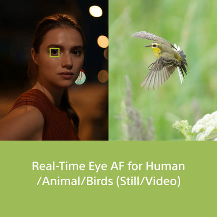 Sony Alpha ILCE-7M4K Full-Frame Hybrid Camera 33MP Interchangeable-Lens Mirrorless Camera with 28-70mm Digital Zoom Lens | 4K 60P Video Recording | Real-Time Eye AF for Humans, Birds, Animals - Black 