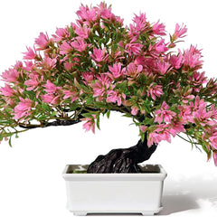 SHOI LITTLE Artificial Bonsai Tree Fake Plants for Home Office Room Wall Book Shelf Decor, Size Tall 8.5"(Pink) 