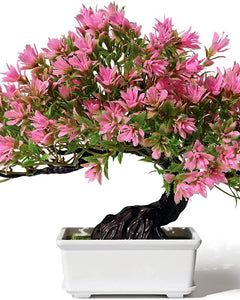 SHOI LITTLE Artificial Bonsai Tree Fake Plants for Home Office Room Wall Book Shelf Decor, Size Tall 8.5"(Pink) 