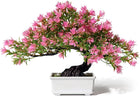 SHOI LITTLE Artificial Bonsai Tree Fake Plants for Home Office Room Wall Book Shelf Decor, Size Tall 8.5