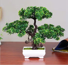 Dekorly Artificial Bonsai with Plastic Pot (Green, 1 Piece) 