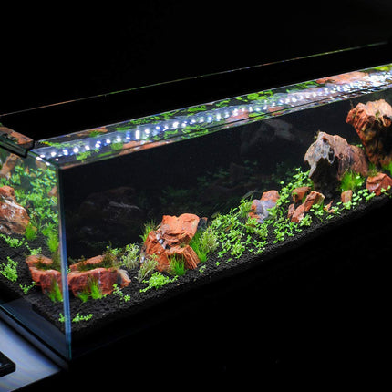 Parko Big Size Fish Tank Aqua Habitat Aquarium 24 Litre,9x9x18 Inches(Colour May Vary,)(Glass Tank ONLY) 
