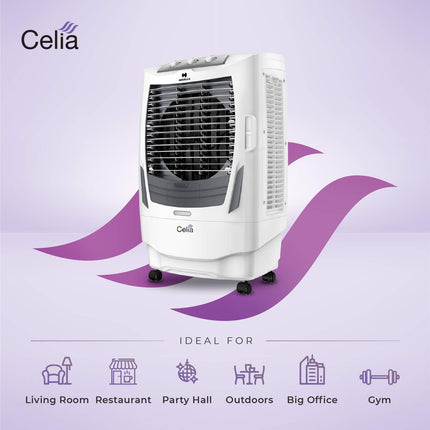 Havells Celia 55L Air Cooler for home | Ice Chamber | Collapsible Louvers | 4 Leaf Metal Blade | Powerful Air Delivery | Everlast Pump | 3 Side High Density Honeycomb Pads | Heavy Duty (White/Grey) 