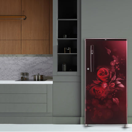 LG 185 L 4 Star Direct-Cool Inverter Single Door Refrigerator (GL-B199OSEY, Scarlet Euphoria, Smart Connect) 