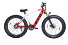 RYD E-5 Fat Mountain Electric Cycle with 36V, 250W BLDC Motor, Steel Frame, 8.7Ah Battery, Disc Brake, Rechargeable, 26 Inch, 5