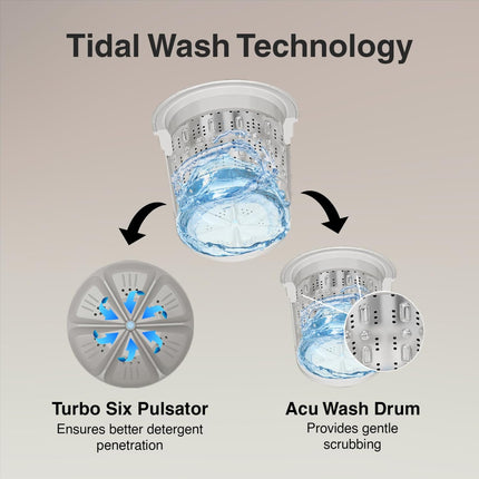 Godrej 7 Kg 5 Star Zero Pressure Technology Fills Tub 60% Faster, Auto Balance system,Fully-Automatic Top Load Washing Machine(2024 Model,WTEON ALP 70 5.0 FDTN GPGR, Graphite Grey, Steel Drum) 