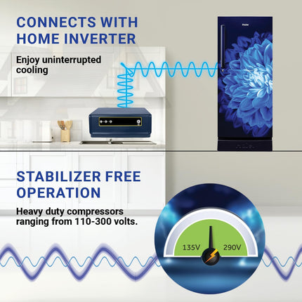 Haier 190 L, 5 Star, Direct-Cool Single Door Refrigerator (HED-205MDB-P, Marine Dahelia, Base Stand Drawer, 2024 Model) 