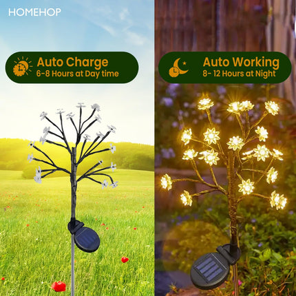 Homehop Solar Light Outdoor Garden Waterproof Decorative Flower Lamp with 20 Led, for Landscape, Pathway, Home Decor & Courtyard, Auto On/Off,(Aluminium, Warm White Pack of 1) 