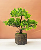 Dekorly Artificial Plants Pot Fake Bonsai Pine Trees Plants Greenery Japanese Pine Bonsai Tree Desktop Display Simulation,Office,Living Room (TrayPot, Height : 30CM) 