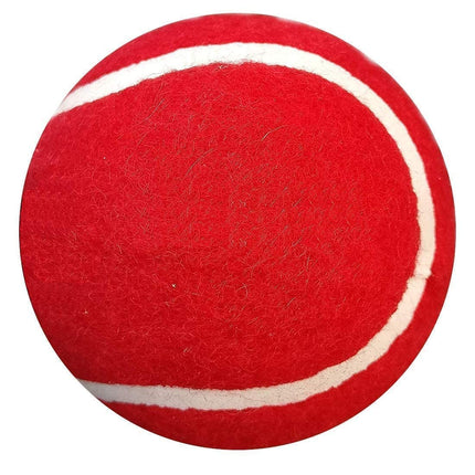 AV Wooden Popular Willow Kids Cricket Bat Size 5 with 1 Tennis Ball for 10-14 Year Kids Combo Pack(Colour - May Vary) Pack of 1 