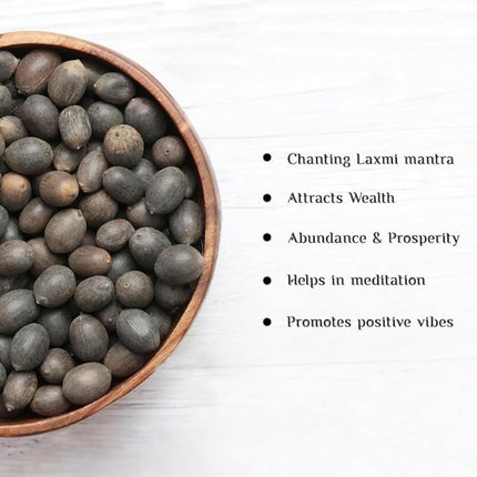 Amulya Farms Lotus Flower Seeds for Home Garden Pack of 20, 100% IMPORTED Japanese Mix Colour, Original Rainbow Seeds for Plant in Water, Summer Plants for Gardening | Live Indoor Plants 