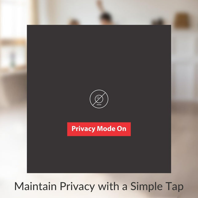 CP PLUS 2MP Full HD Smart Wi-Fi CCTV Home Security Camera | 360° with Pan Tilt | View & Talk | Motion Alert | Night Vision | SD Card (Upto 128 GB), Alexa & Google Support | IR Distance 10mtr | CP-E25A 