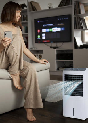 Candes 12 L Portable Mini Air Cooler for Desk, Pets | High Speed Blower, 3 Way Speed Control, Ice Chamber | Honey-comb Cooling Pads | 1 Year Warranty 