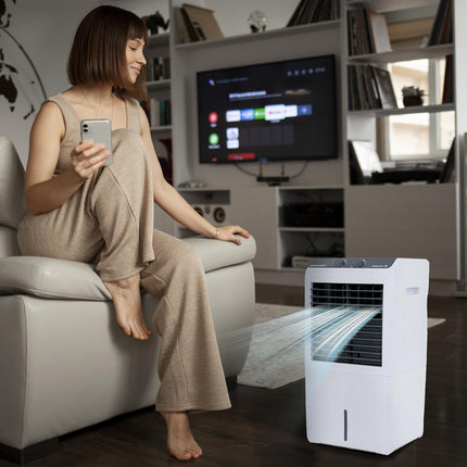Candes 12 L Portable Mini Air Cooler for Desk, Pets | High Speed Blower, 3 Way Speed Control, Ice Chamber | Honey-comb Cooling Pads | 1 Year Warranty 