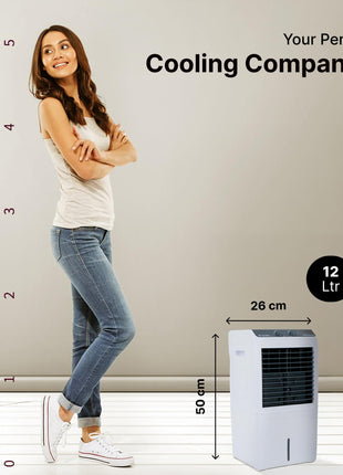 Candes 12 L Portable Mini Air Cooler for Desk, Pets | High Speed Blower, 3 Way Speed Control, Ice Chamber | Honey-comb Cooling Pads | 1 Year Warranty 